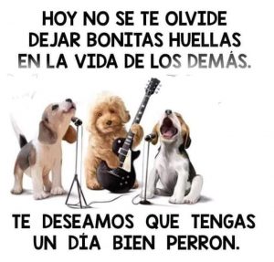 Frases Bonitas Para Buenos Dias Para Una Amiga