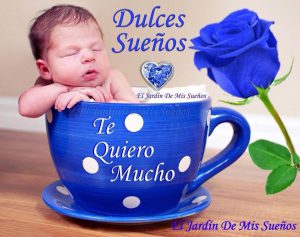 Frases Bonitas Para Dar Las Buenas Noches