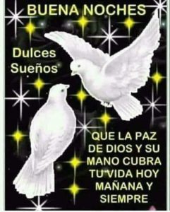 Frases Bonitas Para Dar Las Buenas Noches A Mi Novia Para Celular