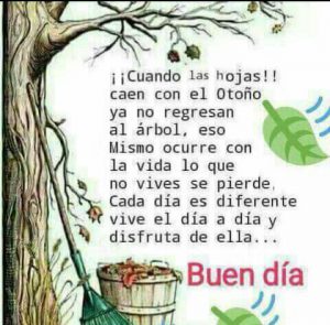 Frases Bonitas Para Dar Los Buenos Dias