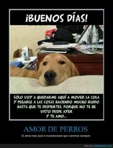 Frases Bonitas Para Dar Los Buenos Dias A Mi Novio