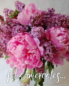 Frases Bonitas Para Dar Los Buenos Dias A Tu Novia Para Descargar