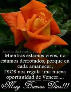 Frases bonitas para dar los buenos días a una mujer para descargar