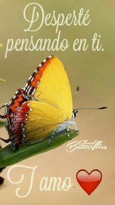 Frases Bonitas Para Dar Los Buenos Dias Para Una Amiga