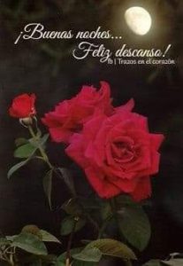 Frases Bonitas Para Decir Buenas Noches Para Facebook