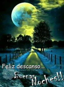 Frases bonitas para decir buenas noches para WhatsApp