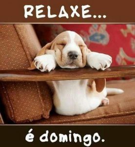 Frases Bonitas Para El Dia Domingo Para Celular