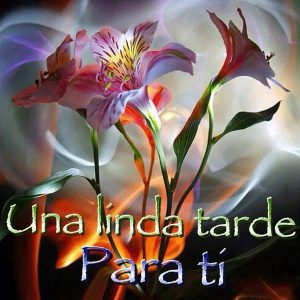 Frases Bonitas Para La Tarde Para Whatsapp Celular