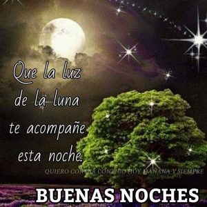 Frases Bonitas Para Las Buenas Noches Para Descargar Gratis