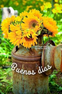 Frases Bonitas Para Los Buenos Dias Para Whatsapp