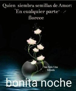 Frases buenas noches para enamorar para Facebook