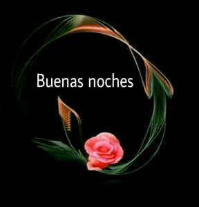 Frases Buenas Noches Para Mi Novia Para Whatsapp