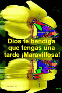 Frases buenas tardes amistad gif animadas