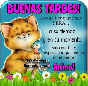 Frases buenas tardes amistad para Facebook y WhatsApp
