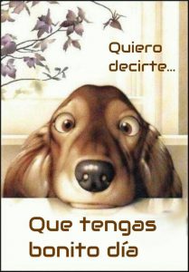 Frases Buenos Dias Amor Para Mi Novia Para Mi Amor