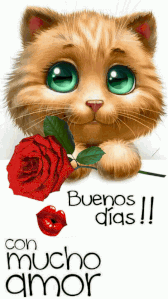Frases buenos días amor para WhatsApp