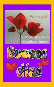 Frases Buenos Dias Para Conquistar Para Descargar