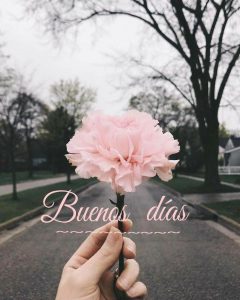 Frases Buenos Dias Para Enamorar Para Una Amiga
