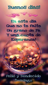 Frases Buenos Dias Para Mi Novia Para Facebook