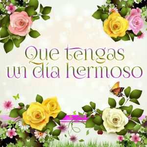 Frases cariñosas de buenos días