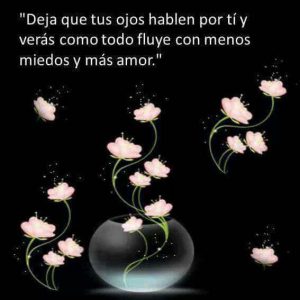 Frases Con Imagenes D Buenas Noches Para Celular