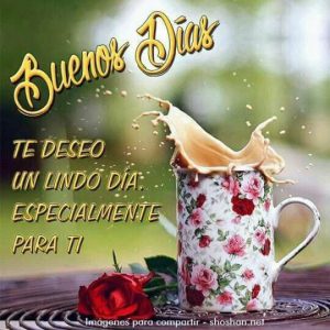 Frases Con Imagenes De Buenos Dias Mi Amor Para Mi Amor