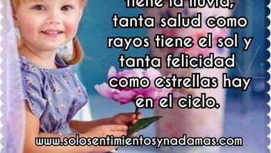 Photo of Frases Con Imagenes De Feliz Domingo Para Celular