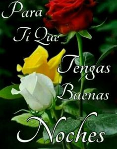 Frases Cortas De Buenas Noches Amor