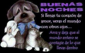 Frases Cortas De Buenas Noches Para Mi Novia Para Facebook