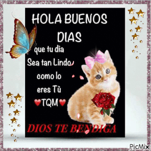 Frases cortas de buenos días amor mio para descargar