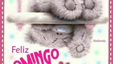 Photo of Frases Cortas De Buenos Dias Para Mi Novia