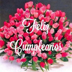 Frases cumpleaños