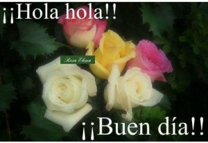 Frases D Amor D Buenos Dias Para Celular