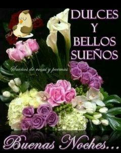 Frases D Buenas Noches D Amor