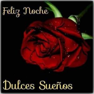 Frases D Buenas Noches Para Mi Amor Para Facebook