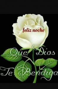 Frases d buenas noches para mi novio para WhatsApp