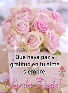 Frases D Buenas Tardes A Mi Amor Para Whatsapp Celular