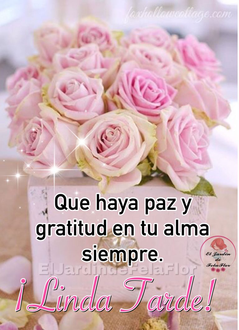 Frases D Buenas Tardes A Mi Amor Para Whatsapp Celular