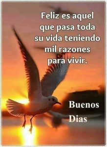 Frases d buenos días mi amor para descargar