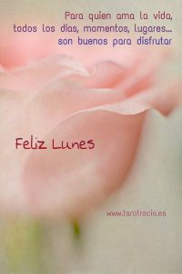 Frases D Buenos Dias Mi Amor Para Facebook