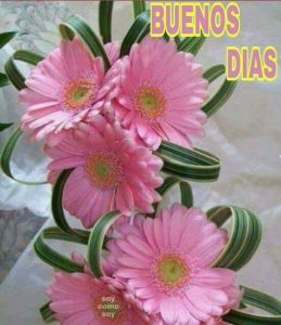 Frases D Buenos Dias Mi Amor Para Una Amiga