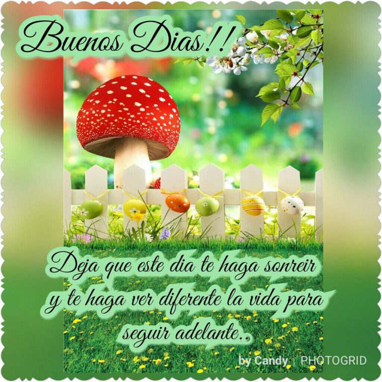 Frases D Buenos Dias Para Enamorar Para Celular