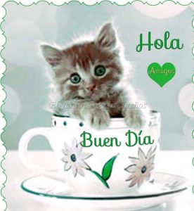 Frases D Buenos Dias Para Mi Amor Para Una Amiga