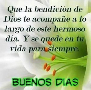 Frases D Buenos Dias Para Mi Novio Para Celular