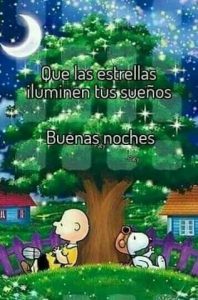 Frases De Amor Bonitas De Buenas Noches Para Whatsapp