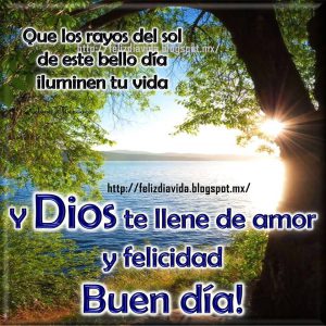 Frases De Amor Bonitas De Buenos Dias