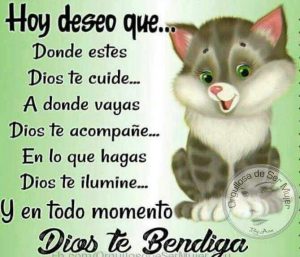 Frases De Amor Bonitas De Buenos Dias Para Mi Amor