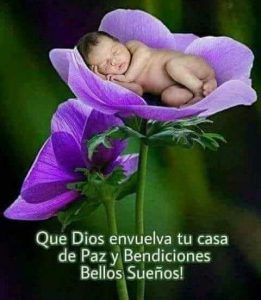 Frases De Amor Cortas De Buenas Noches Para Whatsapp