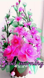 Frases De Amor D Buenos Dias Para Facebook