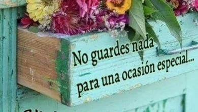 Photo of Frases De Amor Dando Los Buenos Dias Para Celular